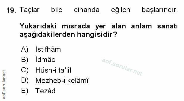 Soru 19