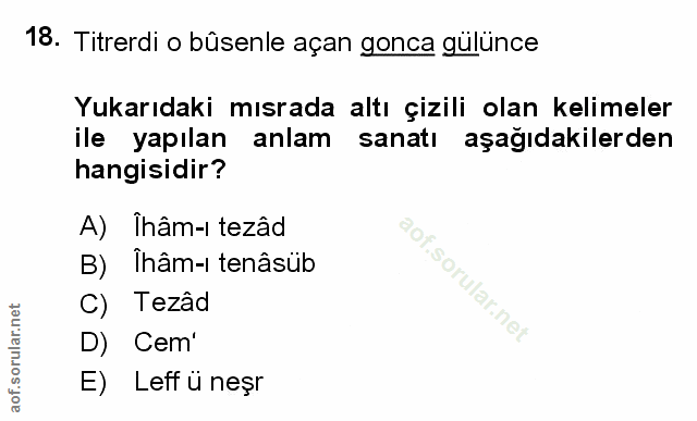 Soru 18