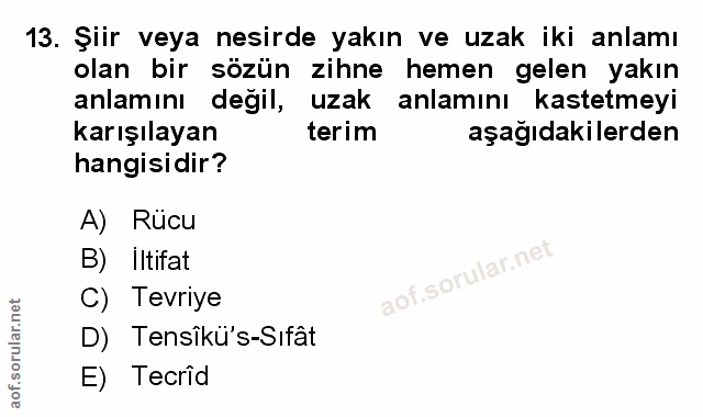 Soru 13