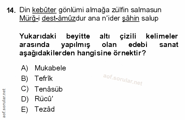 Soru 14