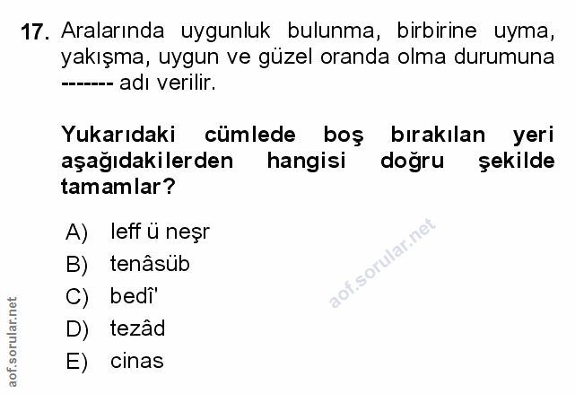 Soru 17