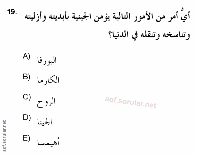 Soru 19