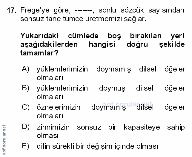 Soru 17