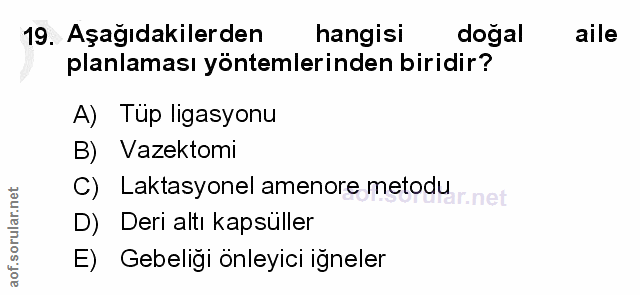 Soru 19