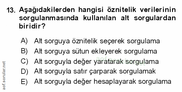 Soru 13