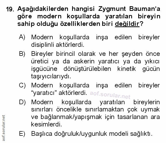 Soru 19