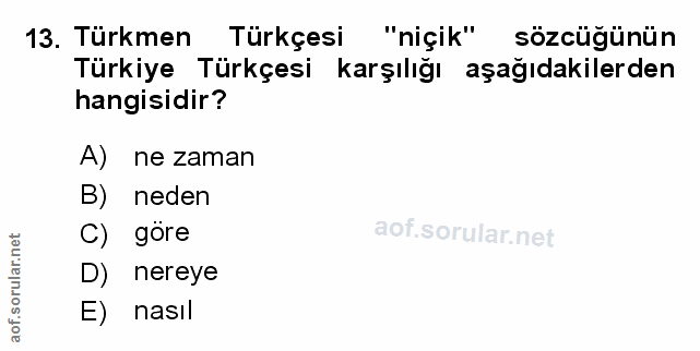 Soru 13