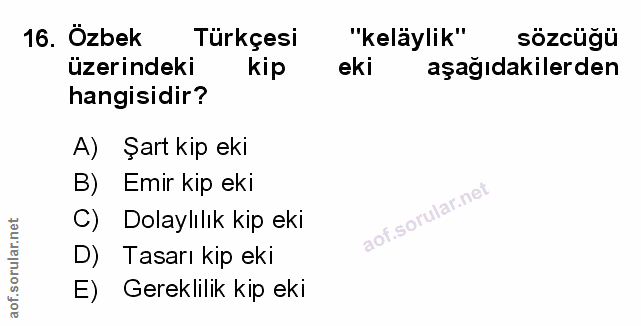 Soru 16