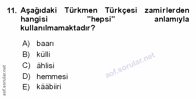 Soru 11
