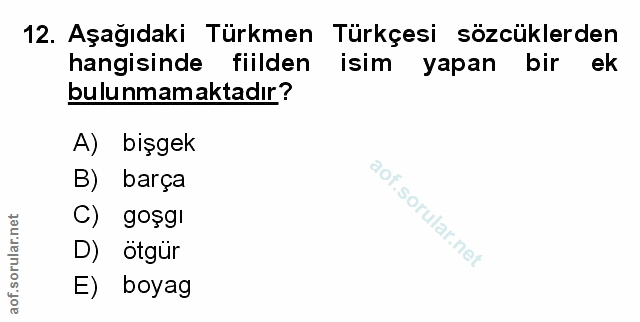 Soru 12