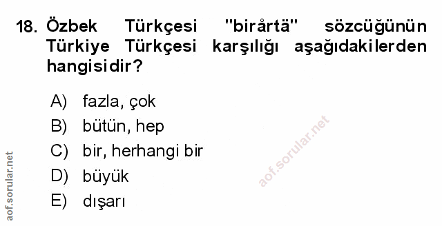 Soru 18