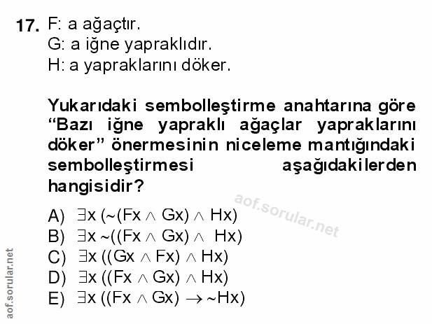 Soru 17