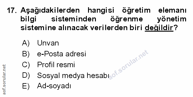 Soru 17