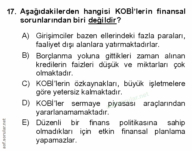 Soru 17