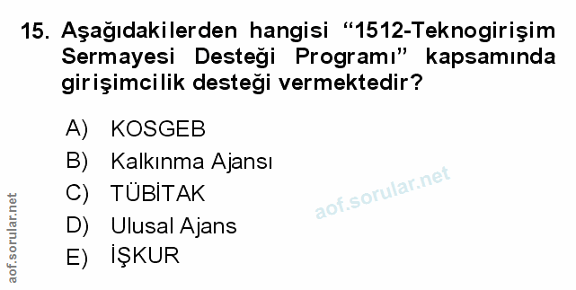 Soru 15
