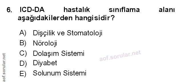 Soru 6