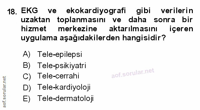 Soru 18