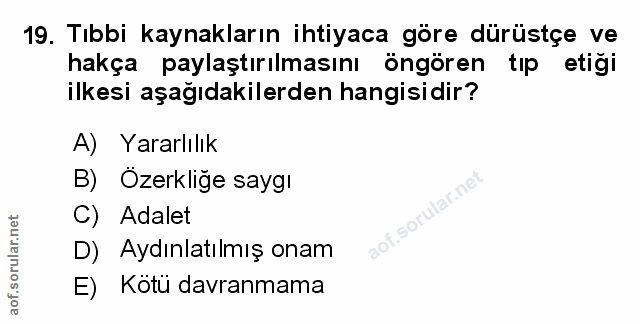 Soru 19