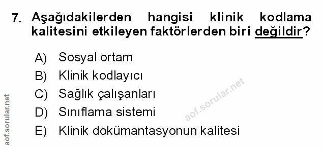 Soru 7