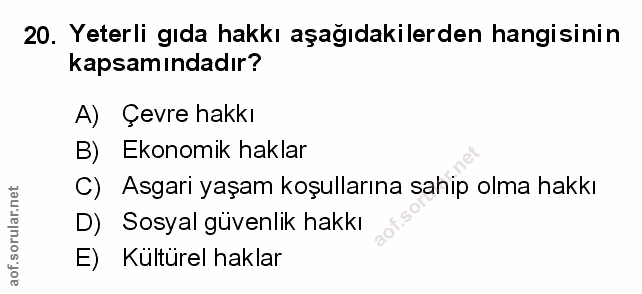 Soru 20