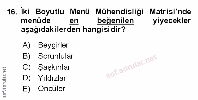 Soru 16