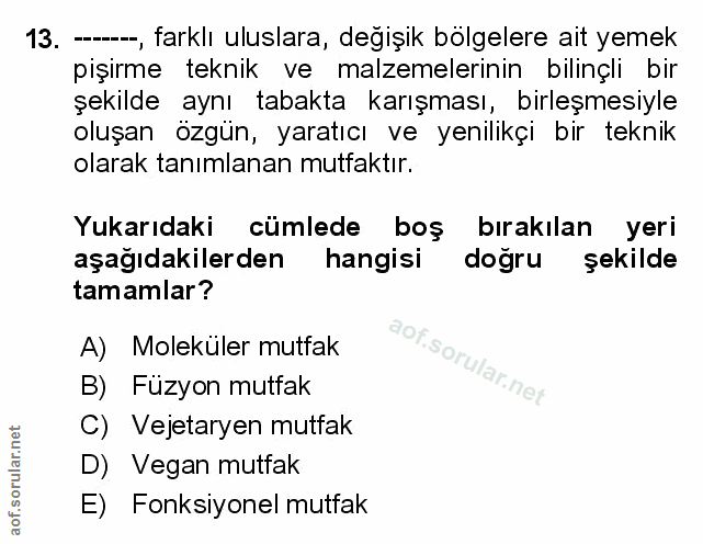 Soru 13