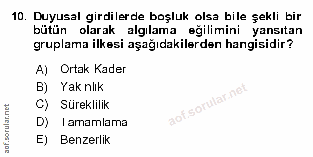 Soru 10