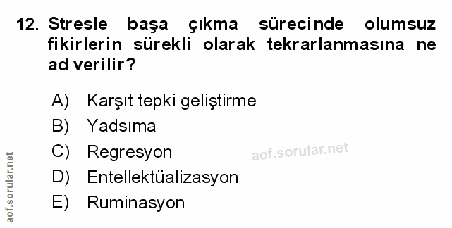 Soru 12
