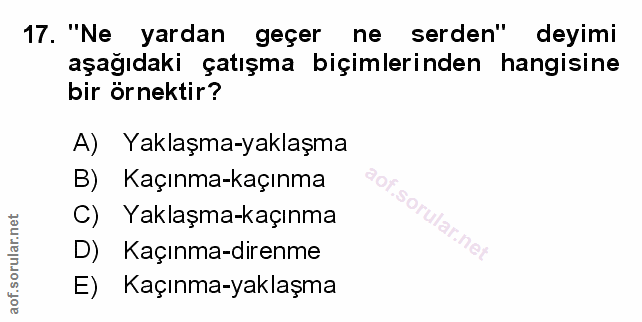 Soru 17