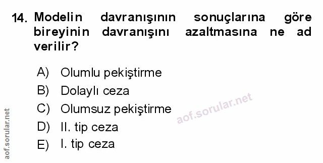 Soru 14