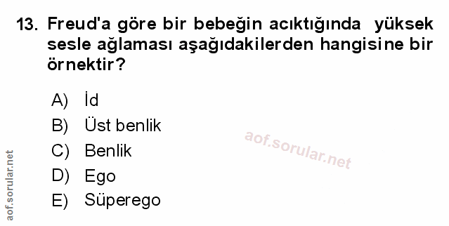 Soru 13
