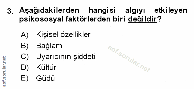 Soru 3