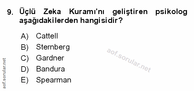 Soru 9