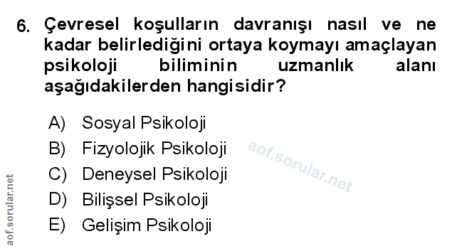 Soru 6