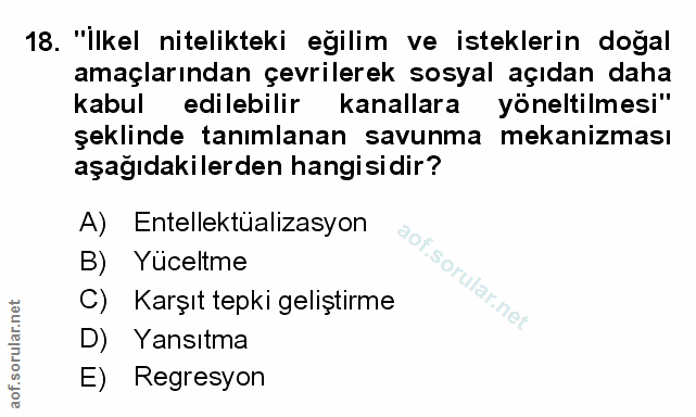 Soru 18