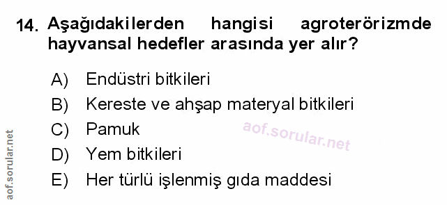 Soru 14