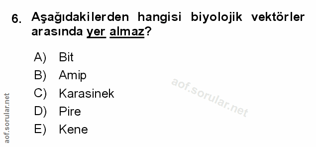 Soru 6