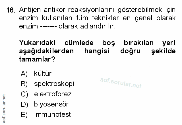 Soru 16