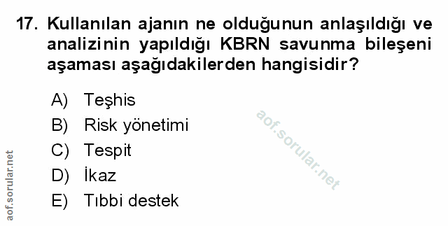 Soru 17