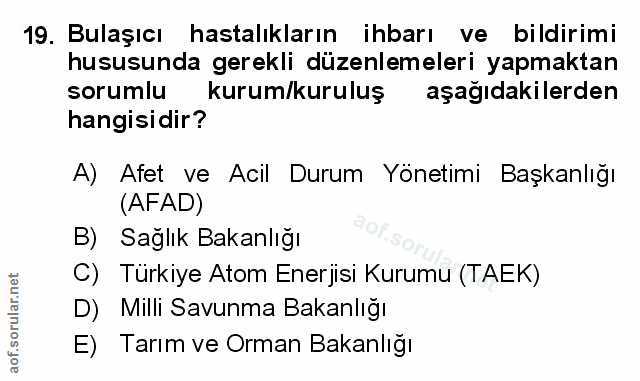 Soru 19