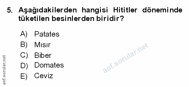 Soru 5