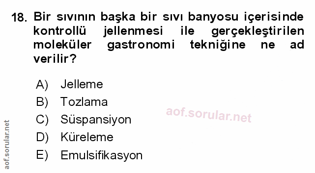 Soru 18