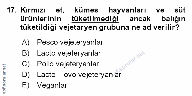Soru 17