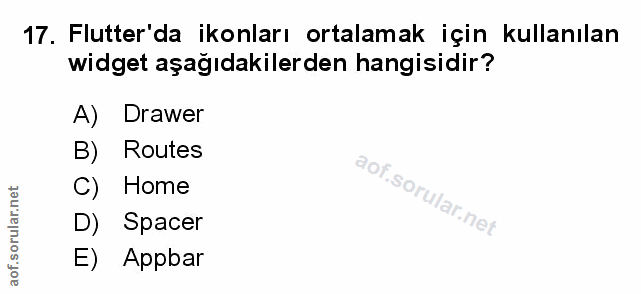 Soru 17