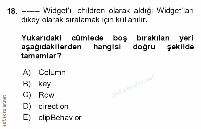 Soru 18