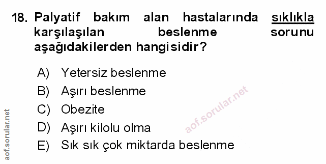 Soru 18