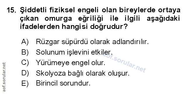 Soru 15