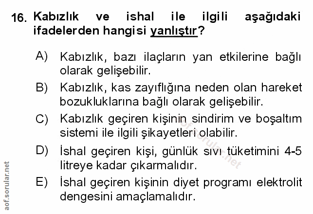 Soru 16