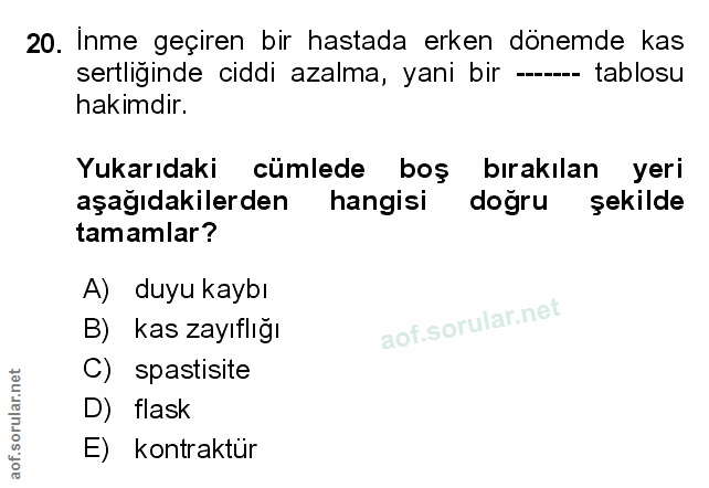 Soru 20