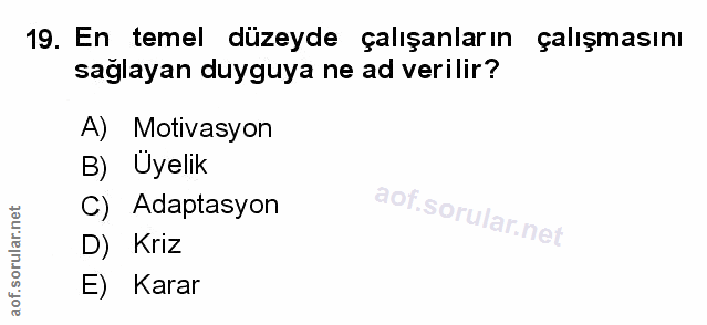 Soru 19